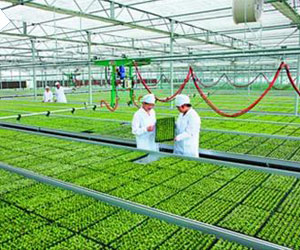 �ϴ���ҵ-�ִ�ũҵ